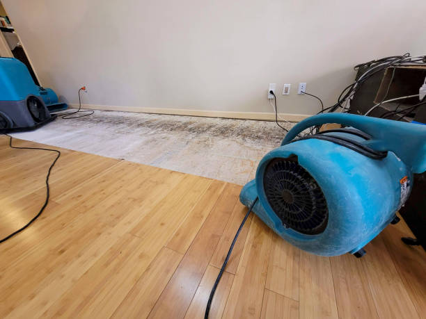 Professional Structural Drying technician working in North Brookfield, MA